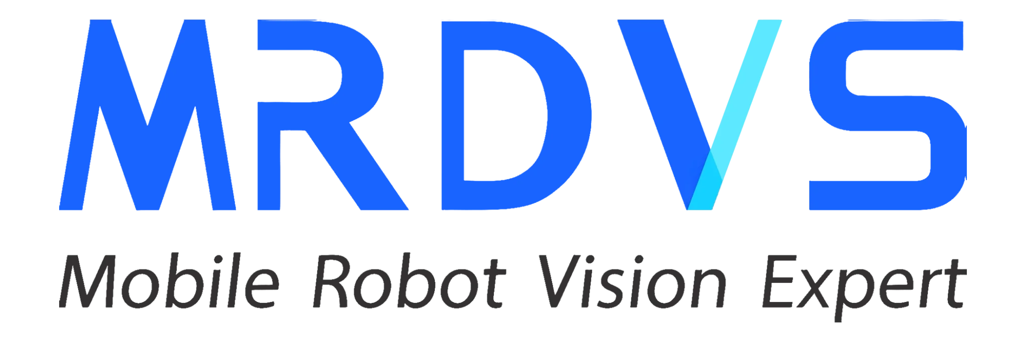 MRDVS Mobile Robot Vision Expert